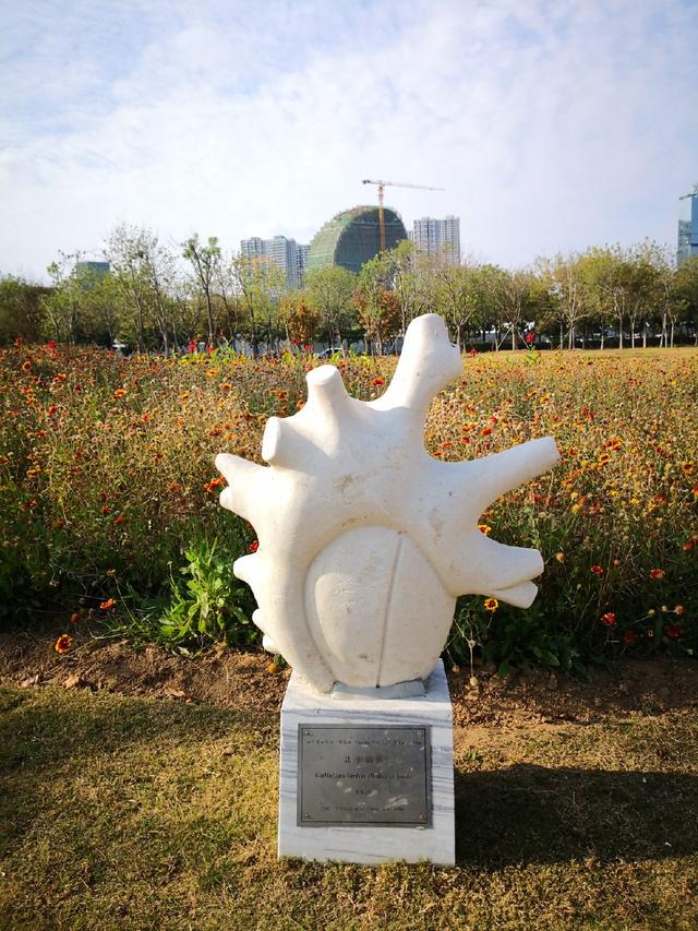 是不是以為進(jìn)了雕塑館，這其實(shí)是青島城市陽(yáng)臺(tái)的人文景觀