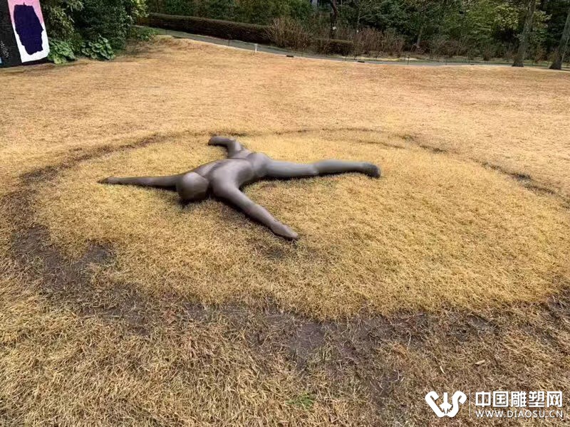 我是為了雕刻森林公園才來神奈川的……